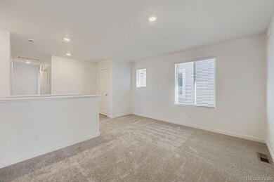 8843 Blue Feather Loop, Colorado Springs, CO 80908 - photo 7