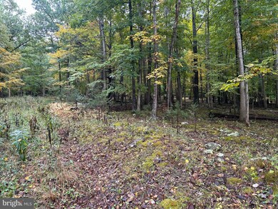 0 Upper Cove Rd, Lost River, WV 26812 - photo 6