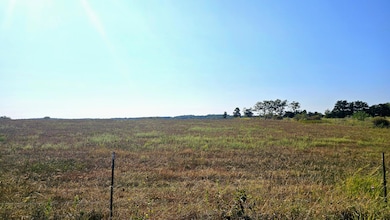 000 S 62nd Rd, Cliquot Township, MO 65640 - photo 2