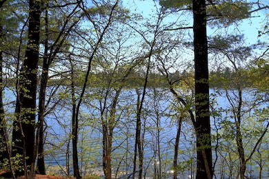 40039 County Road 17, Browerville, MN 56438 - photo 2