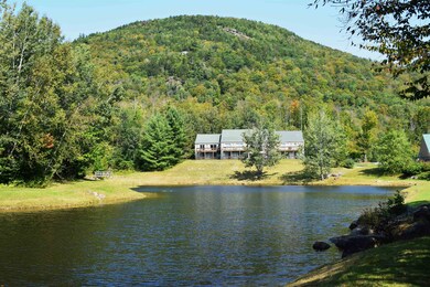 166 Forest Ridge Dr unit 2, Lincoln, NH 03251 - photo 3