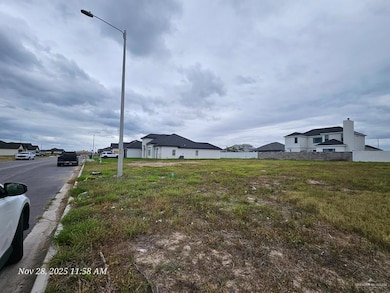 1007 Wesley St, Pharr, TX 78577 - photo 3