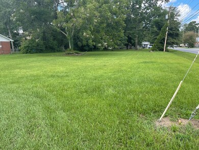 0 E Meeting Street and North Gordon St, Adel, GA - photo 6