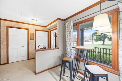 4108 Everett Rd, Richfield, OH 44286 - photo 3