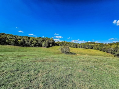 0 Knob Creek Rd unit RTC2748109, Wartrace, TN 37183 - photo 6