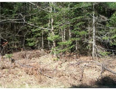 Land/Lot.