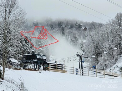 479 El Miner Dr, Mars Hill, NC 28754 - photo 3