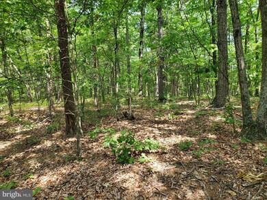 0 Vacation Way unit WVBE2021136, Hedgesville, WV 25427 - photo 3