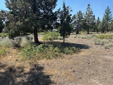 8-1/158 Woodside Rd unit 8-1, Lake Shastina, CA 96094 - photo 3