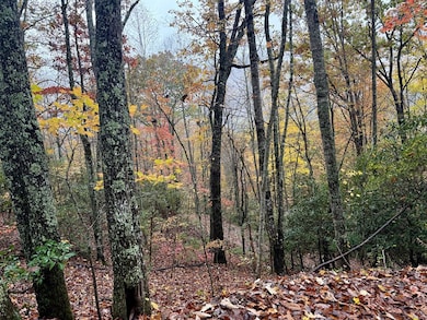 0 Poplar Ridge Ln, Franklin, NC 28734 - photo 2