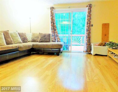 13829 Palmer House Way, Silver Spring, MD 20904 - photo 5