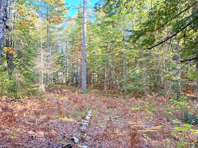 LOT 7 Third Creek Subdivision, Paradise, MI 49768 - photo 6