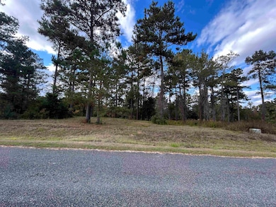 165 Still Water Ln, Havana, FL 32333 - photo 3