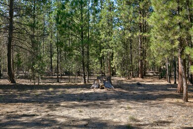 51915 Swiss, La Pine, OR 97739 - photo 3