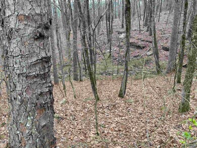 0 Mccall Rd unit 24005759, Heber Springs, AR 72543 - photo 3