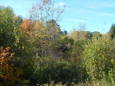 DSCN0019