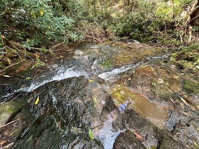 0 Zion Hill Rd unit 411375, Ellijay, GA 30540 - photo 2