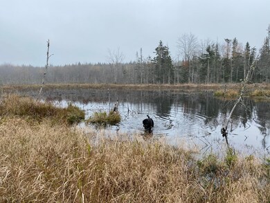 11 W Mcmann St, Addison, ME 04606 - photo 2