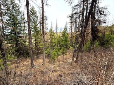 TBD Giveout Creek Rd, Wauconda, WA 98859 - photo 6