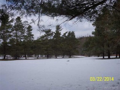 Yard/Garden