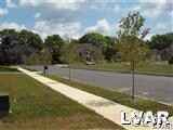 View of Amherst Dr. - tree lined & peaceful.