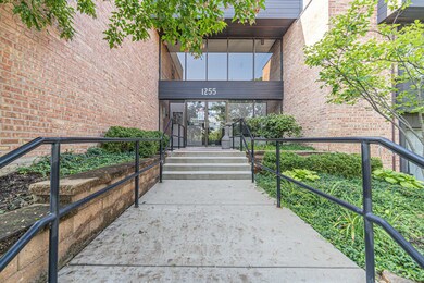 1255 N Sterling Ave unit 201, Palatine, IL 60067 - photo 2