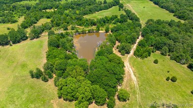 10849 S Sawmill Rd, Atoka, OK 74525 - photo 5
