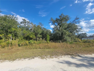 9460 Rousseau St, Ridge Manor, FL 33597 - photo 2