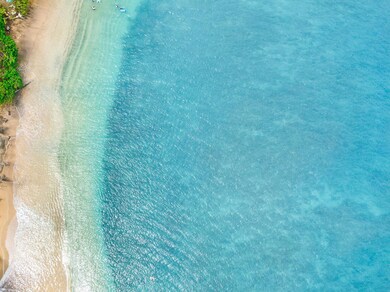 35 Katie Ln unit 733, Lahaina, HI 96761 - photo 7