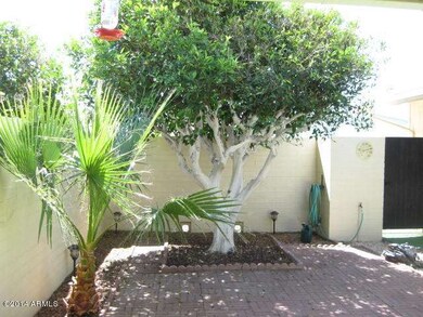 YOUR PRIVATE B'YARD
