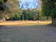 154 Old School House Rd, Blounts Creek, NC 27814 - photo 4