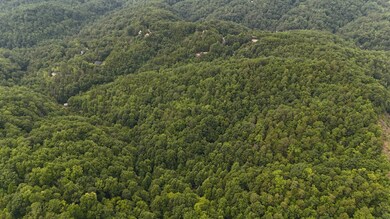 0 S King Branch Rd unit RTC2908148, Sevierville, TN 37876 - photo 6