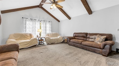 4 Shady Oak Ln, Waterloo, IL 62298 - photo 5