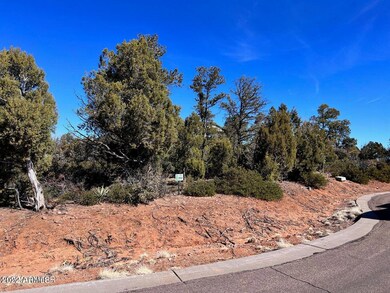 1985 S Twin Peak Trail unit 392, Show Low, AZ 85901 - photo 7