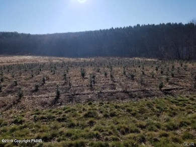 108 Chapel Dr, Mahoning Township, PA 18235 - photo 3