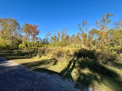 TBD Forest Blvd, Abbeville, AL 36310 - photo 2