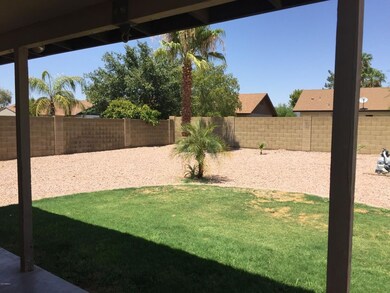 back yard