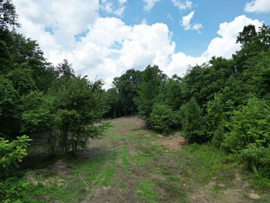 3042 Sheep Ranch Rd, Robbins, TN 37852 - photo 4