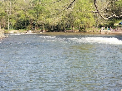 4916 Leybourne Ln, Murfreesboro, TN 37129 - photo 5