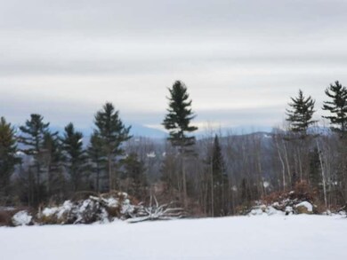 14 Bear Paw Trail unit 1-4, Littleton, NH 03561 - photo 6