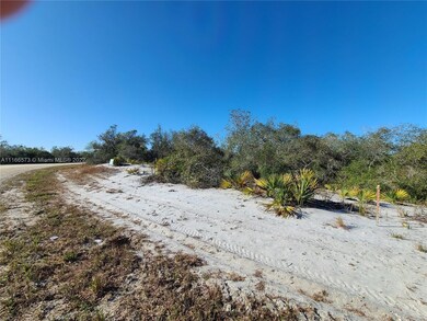 224 Lakeland Dr, Lake Placid, FL 33852 - photo 3