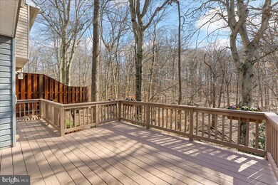 101 Alford Ct, Chadds Ford, PA 19317 - photo 7