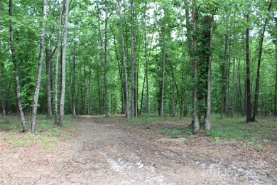 Lot 27 S Cross Creek Trail unit 27, Mill Spring, NC 28756 - photo 7