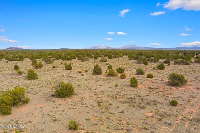 50178020d Kaibab Rd, Williams, AZ 86046 - photo 4