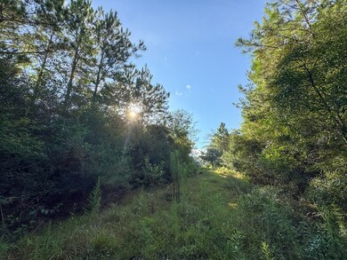 2 Edgerly Rd, Dequincy, LA 70633 - photo 5