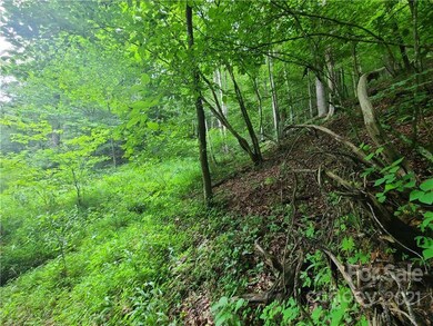 9999 Bent Creek Rd, Ramseytown, NC 28714 - photo 7