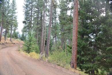0 Luce Creek Rd unit 220109938, John Day, OR 97845 - photo 6