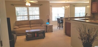 317 River Run Dr, Myrtle Beach, SC 29588 - photo 5