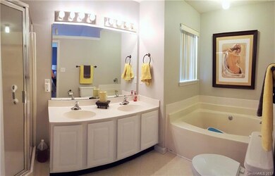 Master bathroom with garden tub and separate showe