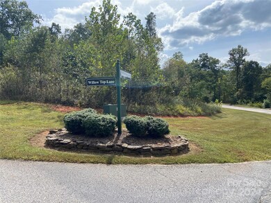 0 Willow Top Ln unit 311 CAR4197864, Lake Lure, NC 28746 - photo 5